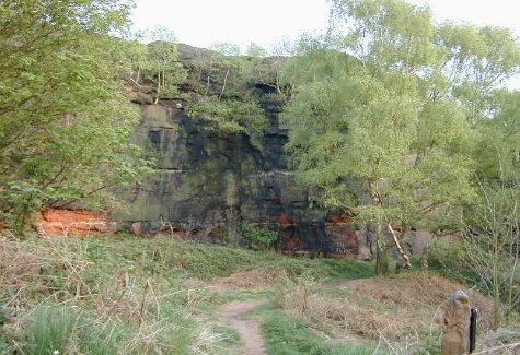 Runcorn Hill Nature Park and Reserve