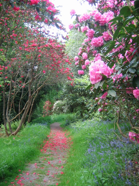 Chatsworth House, Garden