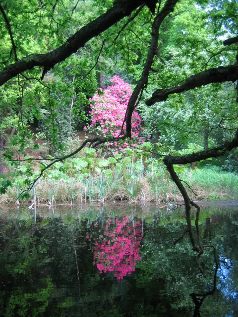 Chatsworth House, Garden