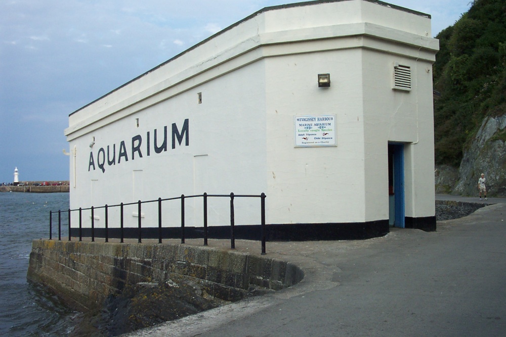 The Aquarium on Mevagissey Harbour
