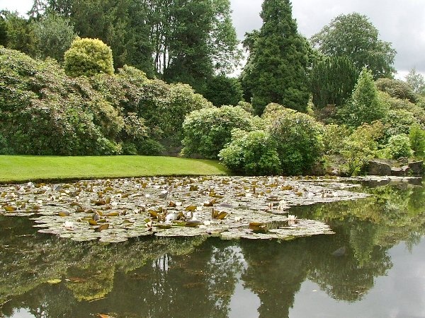 Biddulph Grange Gardens