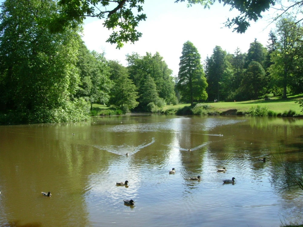 ::Attraction-Windsor Great Park::Virginia Water Lake photo by Tony Moussalli