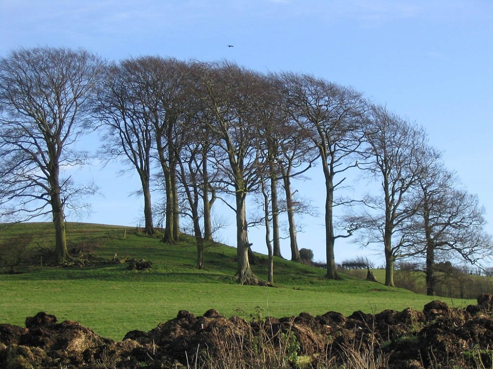 Hartshorne, Derbyshire - Hilltop nr. Manor Farm
