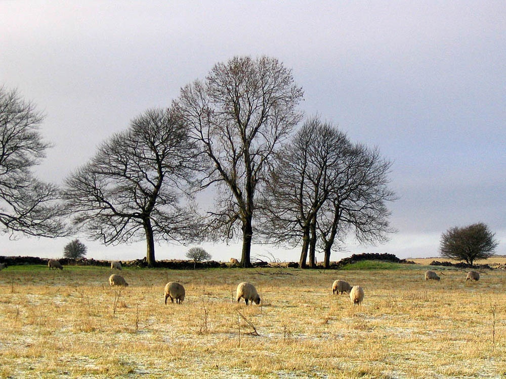 Photograph of Middleton by Wirksworth, Derbyshire: Winter on Middleton Moor