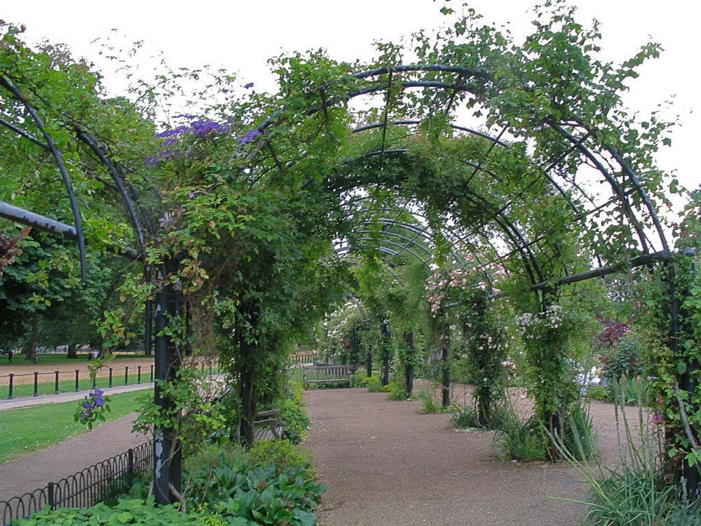 Photograph of Kensington Gardens - late June 2004