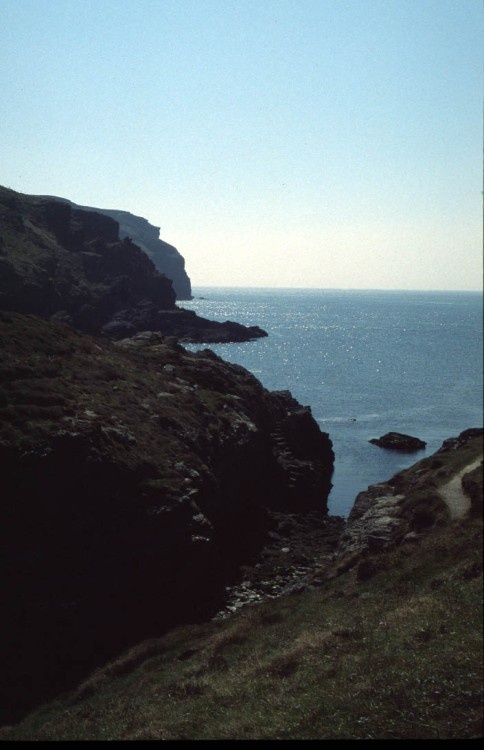 Spanish Head from Calf Sound