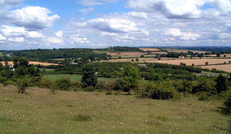 Photograph of The landscape surounding Old Burghclere