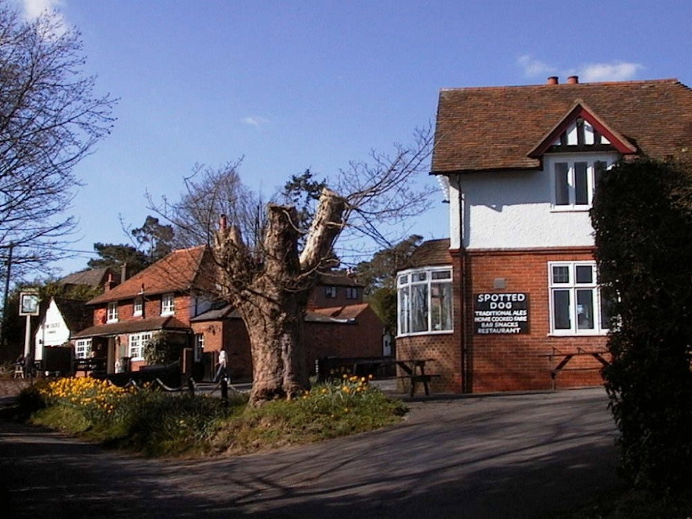 Castle & Spotted Dog Pubs