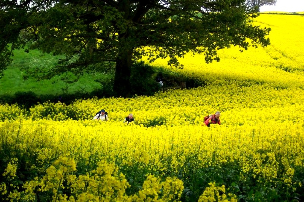 Photograph of Abberley, Worcestershire