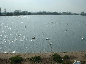 Photograph of Abberton, Worcestershire
