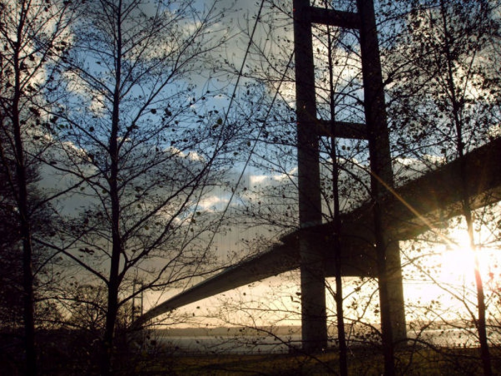 The Humber bridge behind the winter trees at Sunset