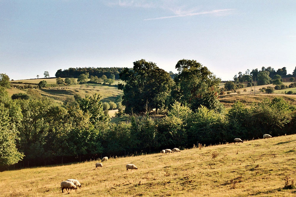 Photograph of Landscape near Ilmington, Warwickshire