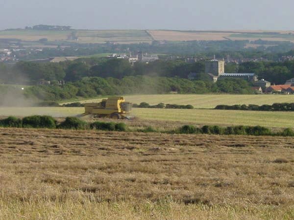 Filey, North Yorkshire. St Oswalds from the cliffs at harvest time