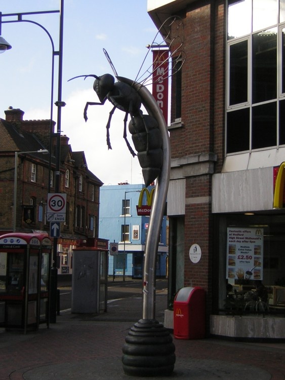 Hornet street art - Watford, Herts