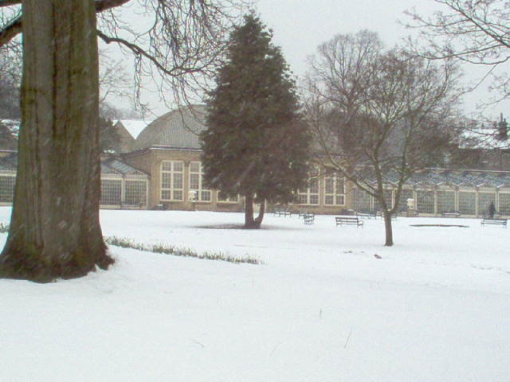 Botanical Gardens 24th February 2005 under three inches of snow photo by Jenni Sayer