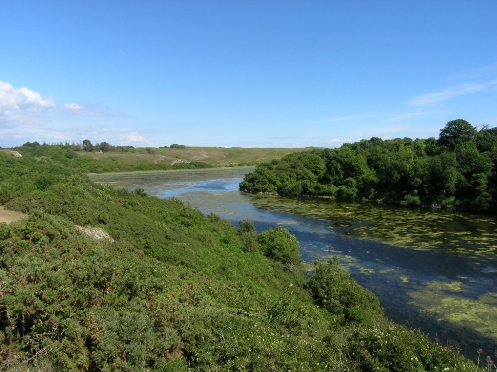 Bosherston lilly ponds, Pembrokeshire, Wales