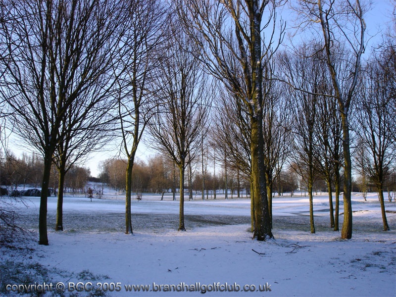 Winter view of the Brandhall Golf Course, West Midlands