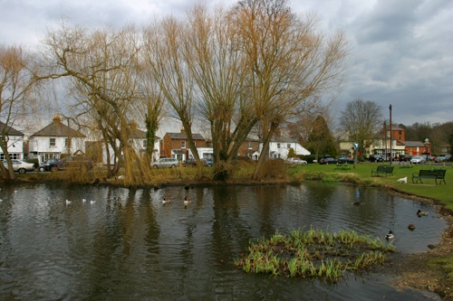 Photograph of Esher west end green