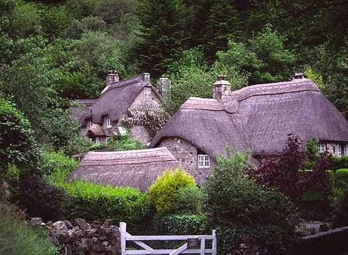 Photograph of Cottages at Buckland in the Moor, Devon
