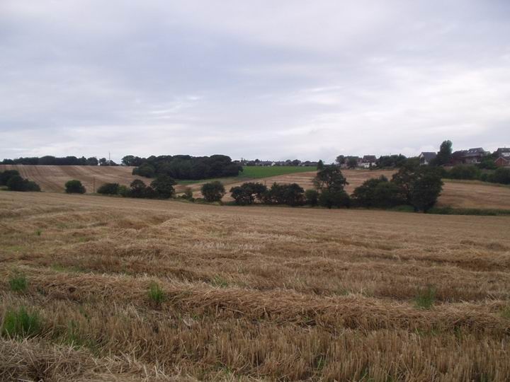 Photograph of A view of the countryside in Billinge