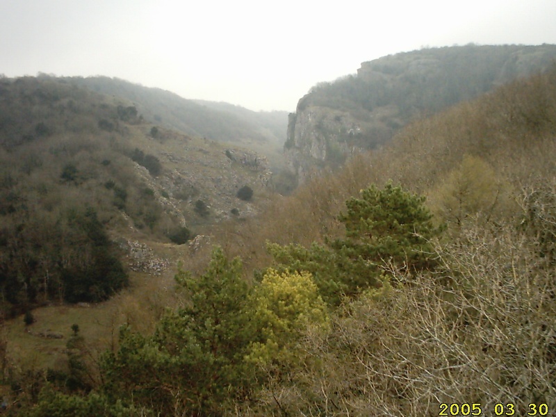 Cheddar Gorge from observation tower at the top of Jacob's Ladder photo by Cenydd Phillips