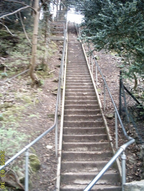 Jacob's Ladder at Cheddar Gorge
