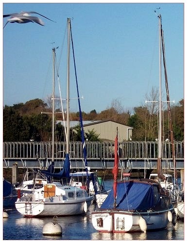 Yachts at Lymington, Hampshire