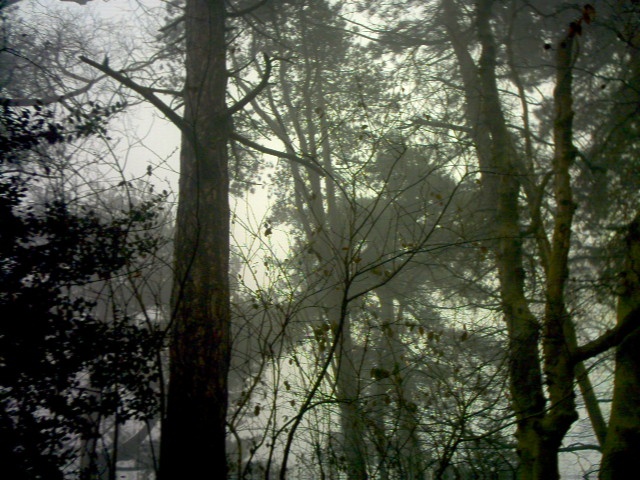 mist in bell vue park lowestoft suffolk