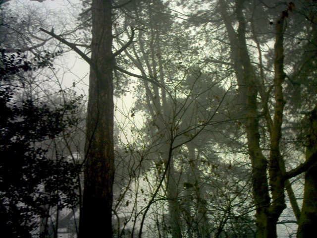 mist in bell vue park lowestoft suffolk