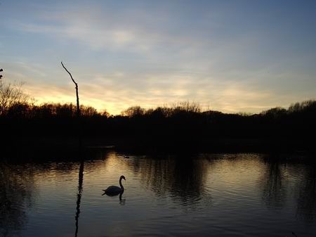 Stanley Marsh, Stanley, West Yorkshire