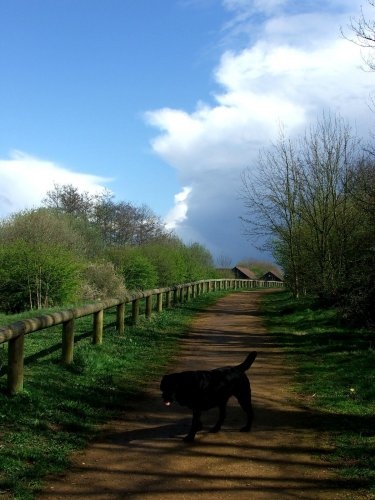I have called this one April Lane.  Taken in April 2005 at Eastleigh Lakeside Park Hampshire.