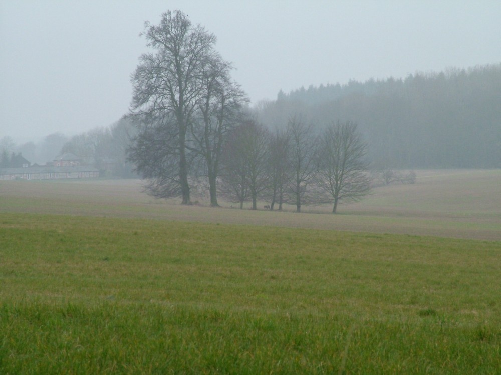 Fox Farm, Amport, Hampshire