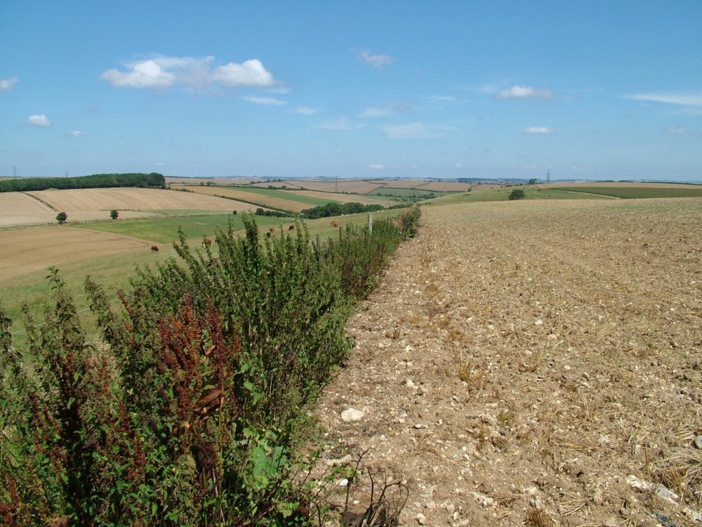Photograph of Round barrows above bronze age settlement