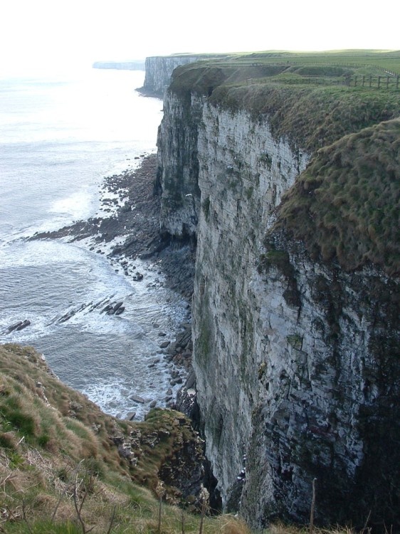 Bempton Cliffs, East Yorkshire