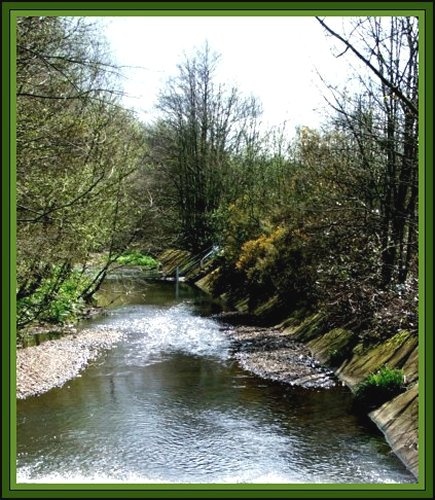Brooke-Lakeside Country Park Eastleigh.