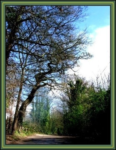 Lakeside Country Park Eastleigh