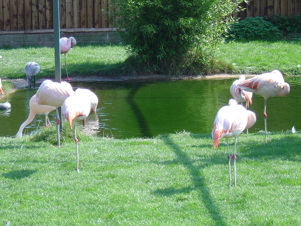 Flamingo Park, Seaview, Isle of Wight