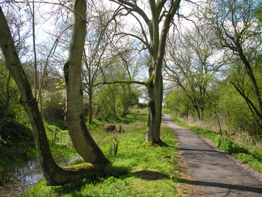 Photograph of Remains of Canal, Chippenham, Wiltshire. Spring 2005