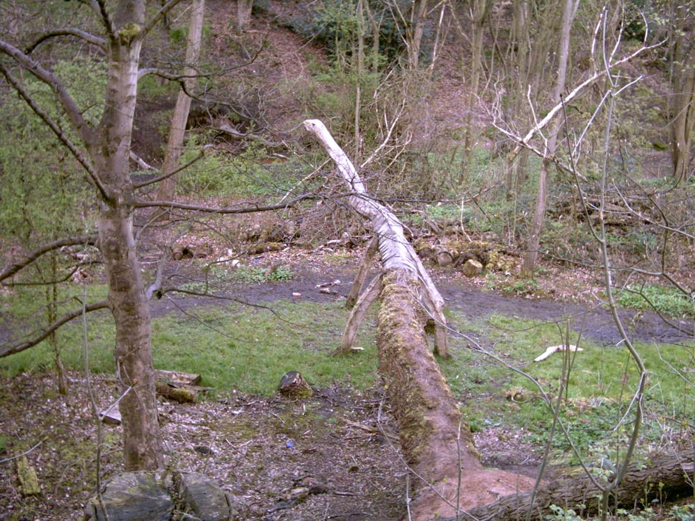 Sculpture of a Dinosaur, Prestwich Clough