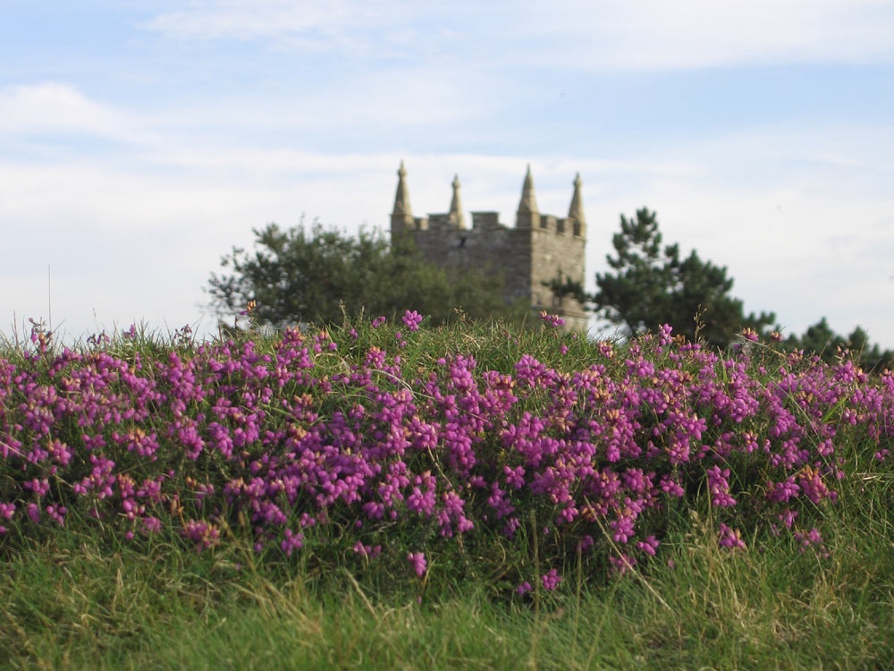 Countisbury, North Devon