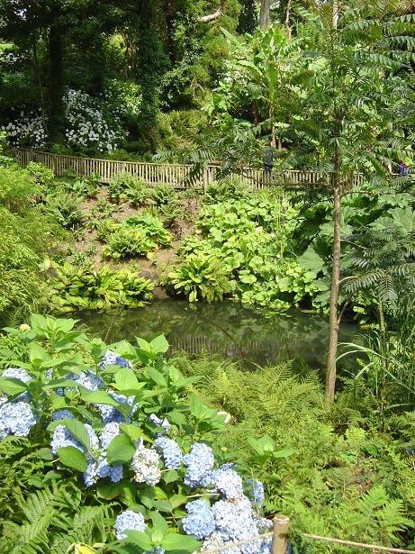 the jungle in the Lost Garden of Heligan