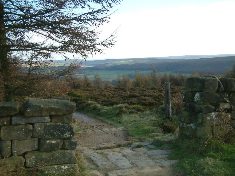 Taken from view point at Captain Cooks Monument, Nr Great Ayton