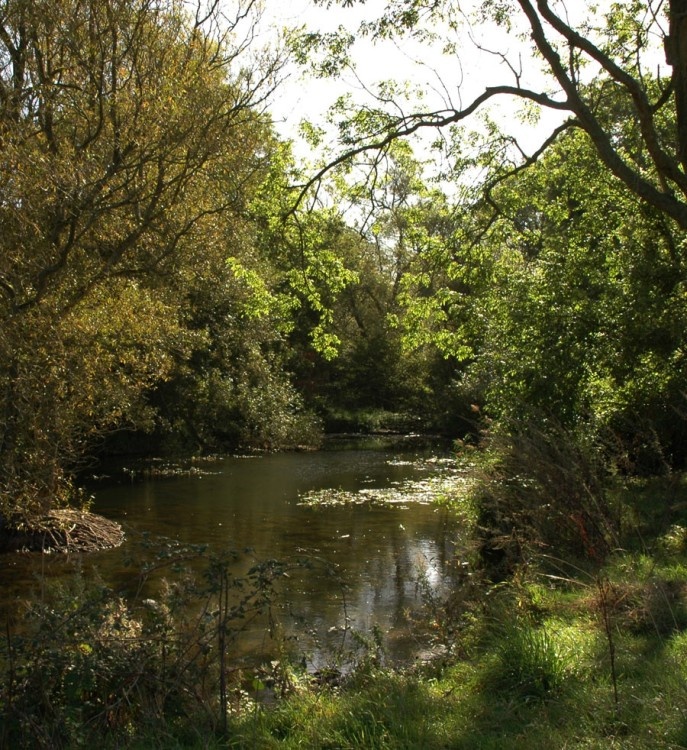 Old Boating Lake at Poynings