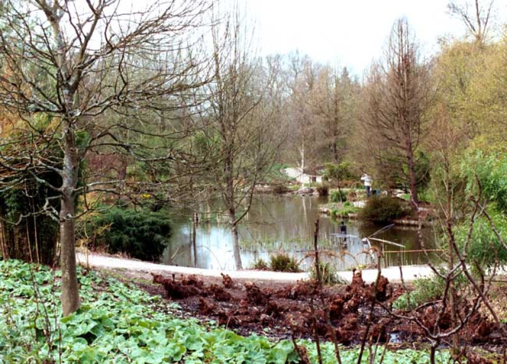 The Lake photo by Michael Wright