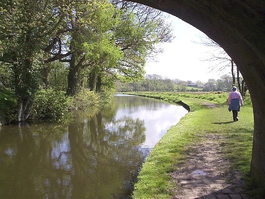 Lancaster Canal Nr Carnforth, Lancashire