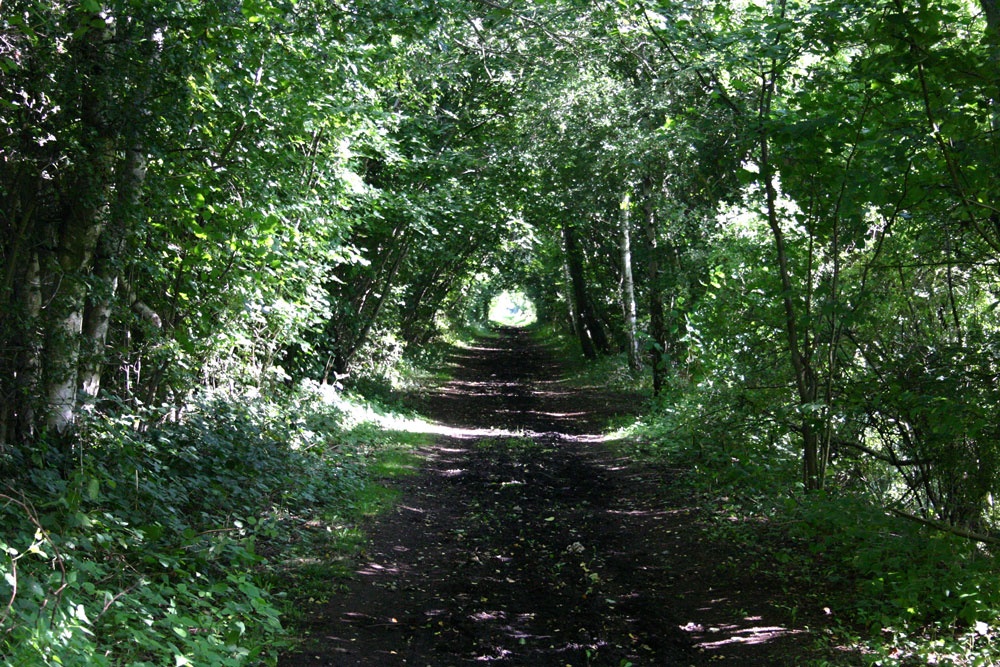 Photograph of Old railway path near Woodhall Spa, Lincolnshire