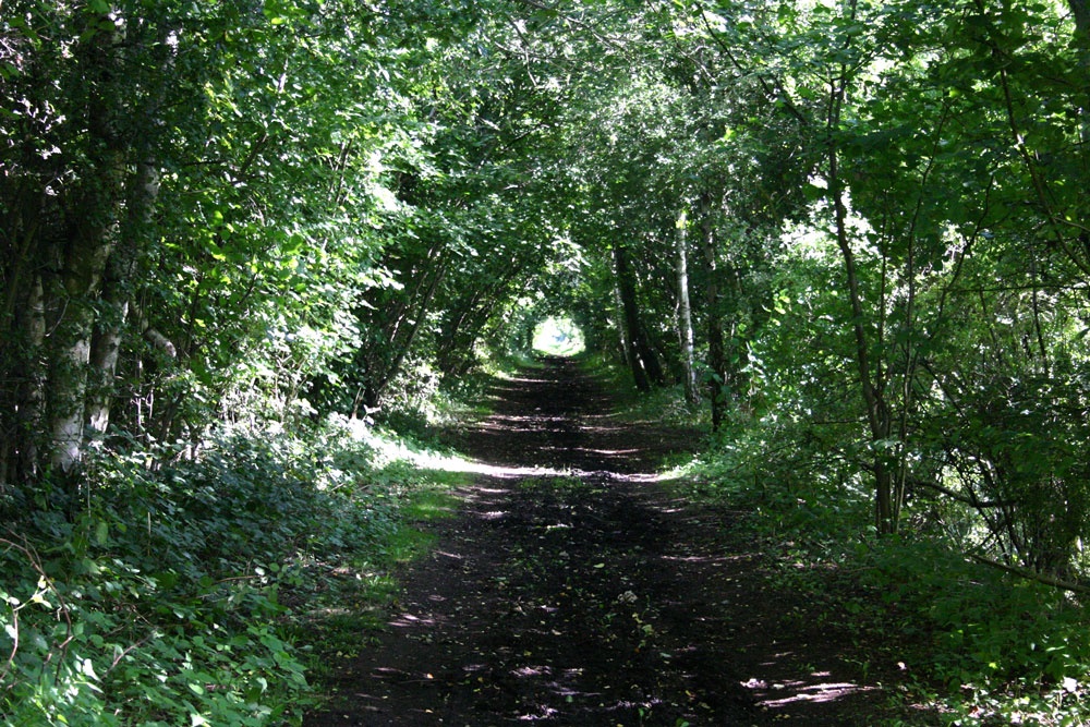 Old railway path near Woodhall Spa, Lincolnshire