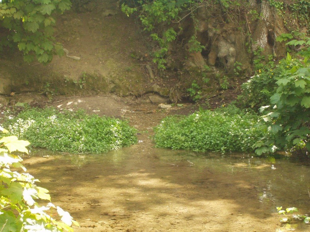 Ashwell Springs, Ashwell. The source of the River Cam