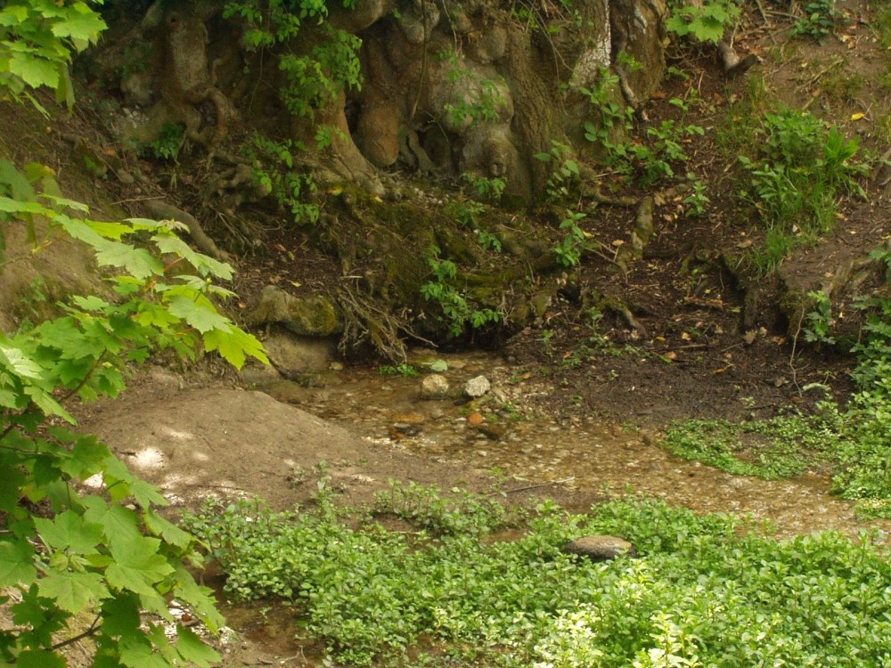 Ashwell Springs, Ashwell, Hertfordshire. A source of the River Cam