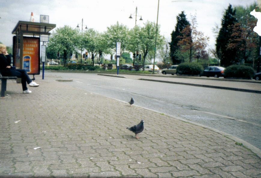 Photograph of Staines (Middelsex) Surrey- pidgeons and all.